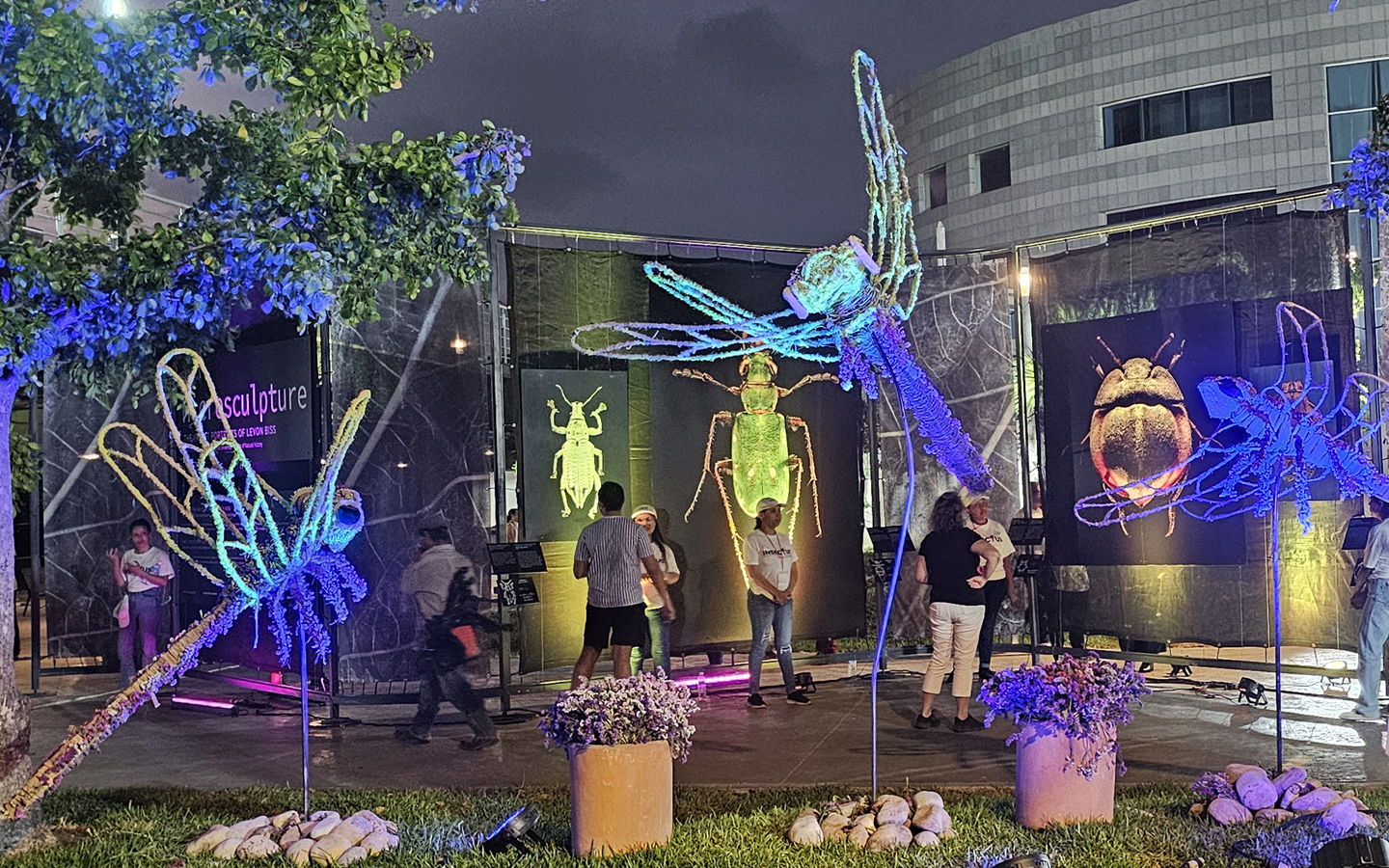 52-donde-rentan-las-mejore-luces-iluminacion-arquitectonica-decorativa-para-eventos-fiestas-graduaciones-xv-anos-bodas-escenarios-en-tampico-